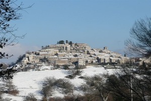 Click the image to view photos in this gallery.